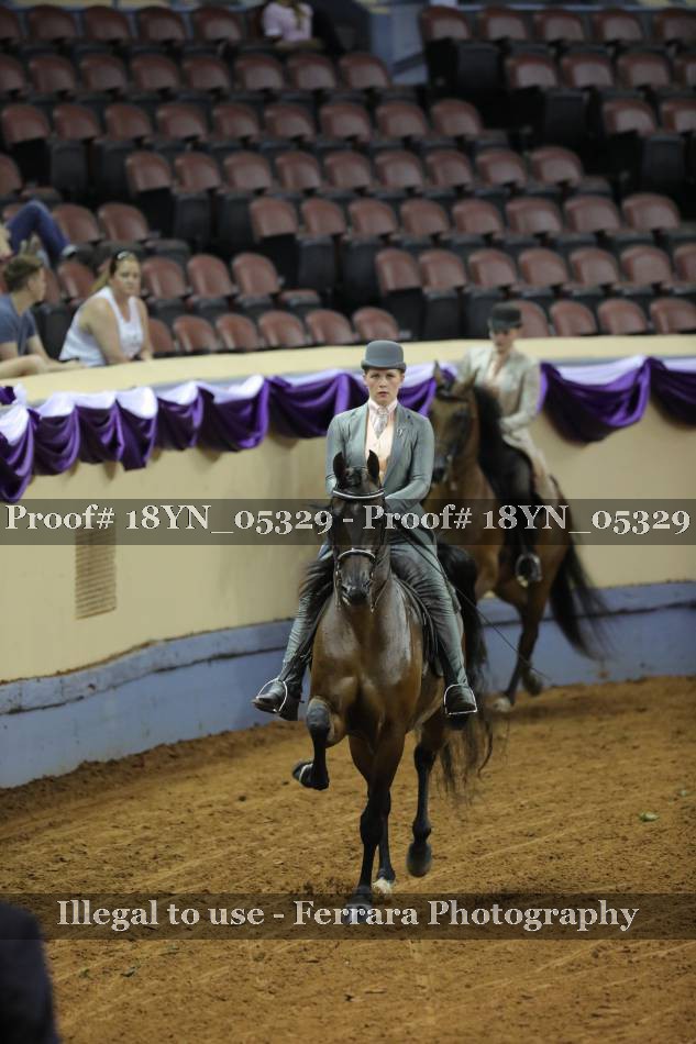 Proof 18YN_05329
