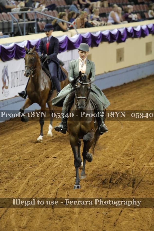 Proof 18YN_05340