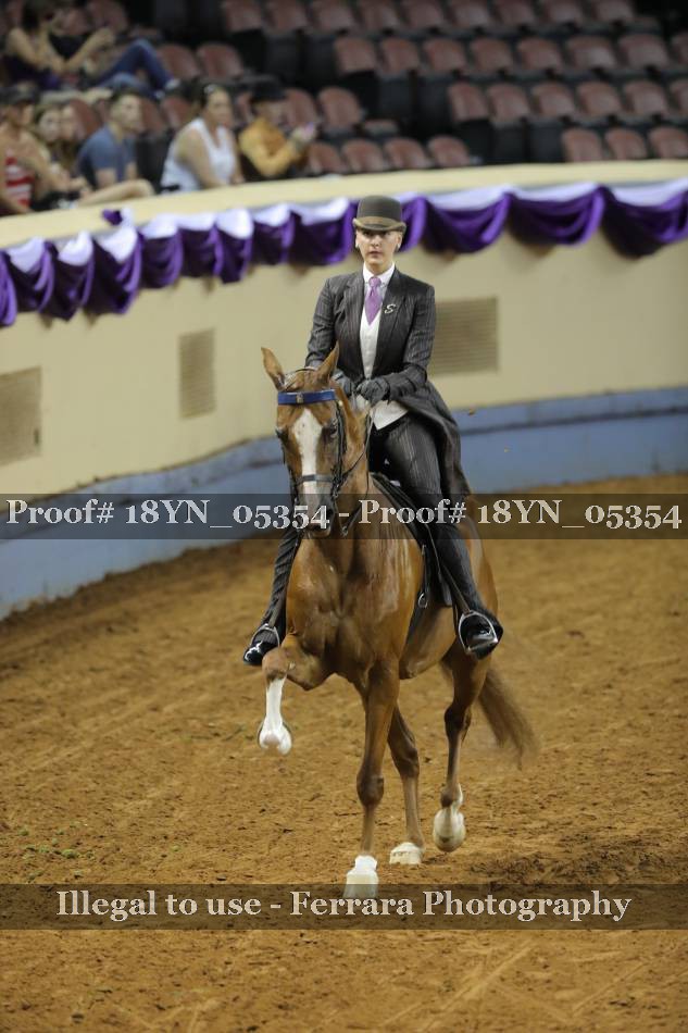 Proof 18YN_05354