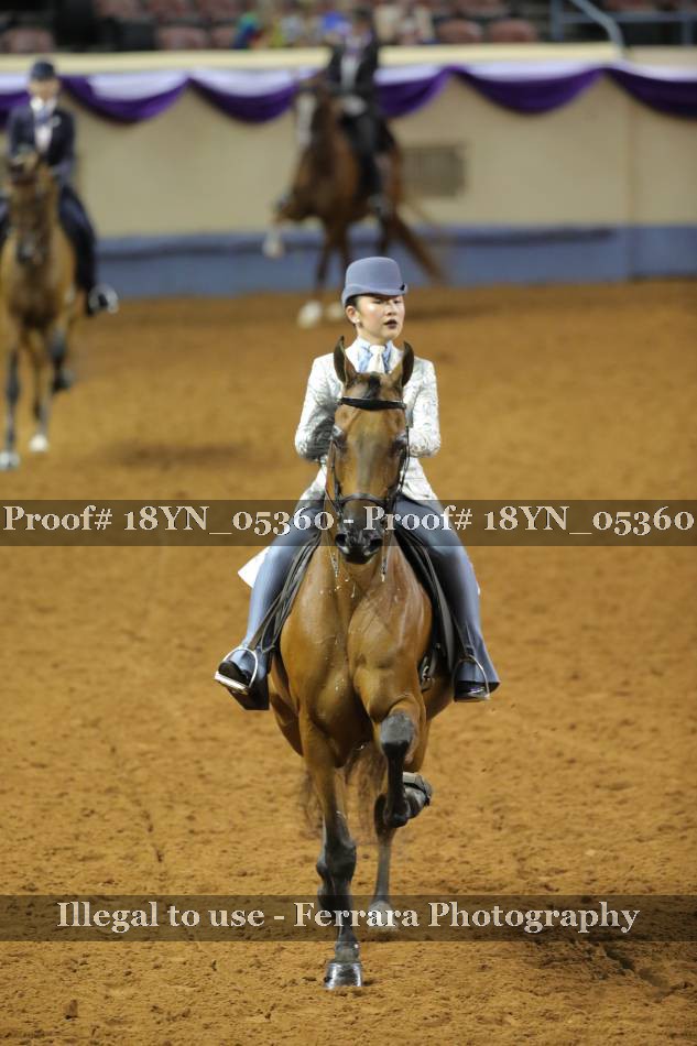 Proof 18YN_05360