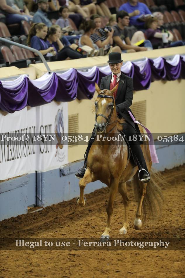 Proof 18YN_05384