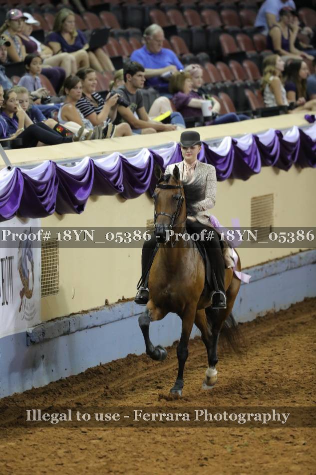 Proof 18YN_05386