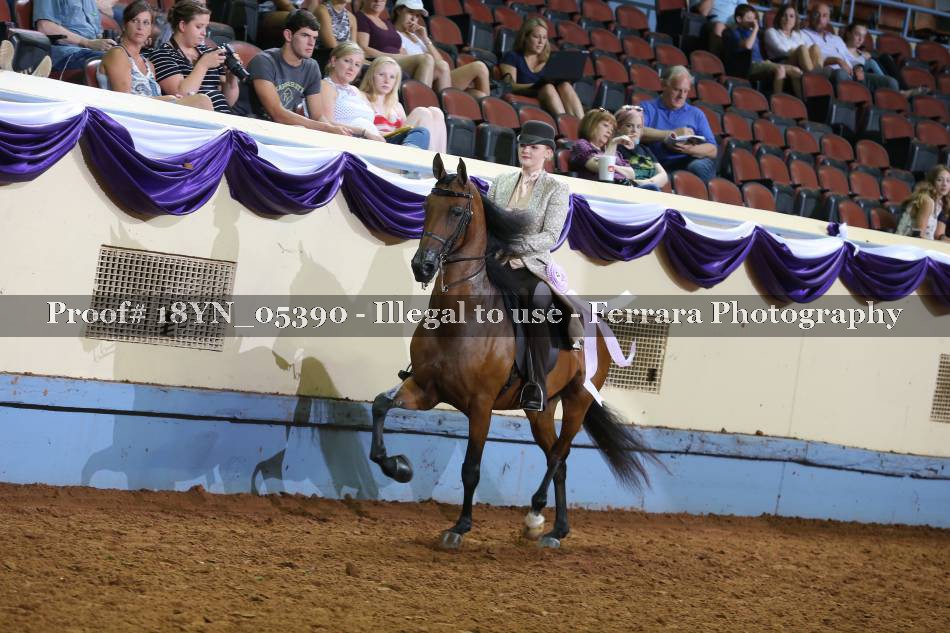 Proof 18YN_05390
