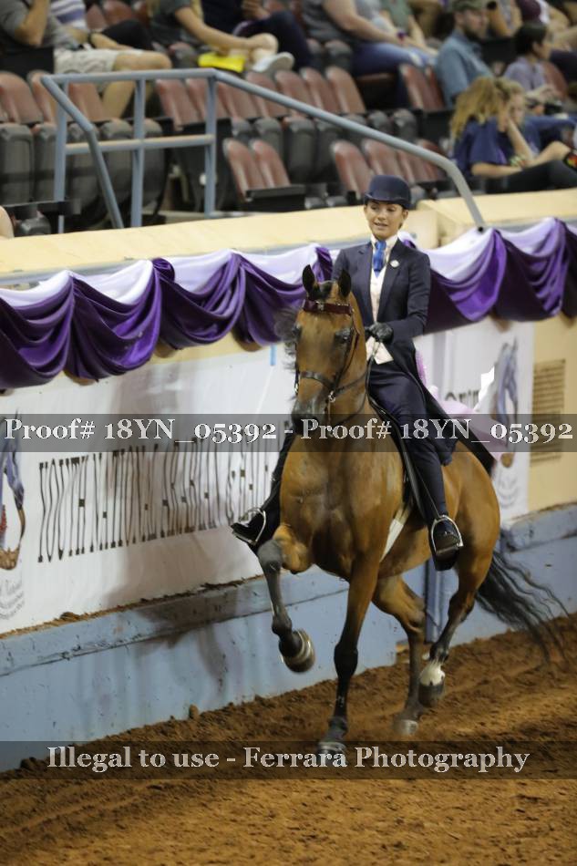 Proof 18YN_05392