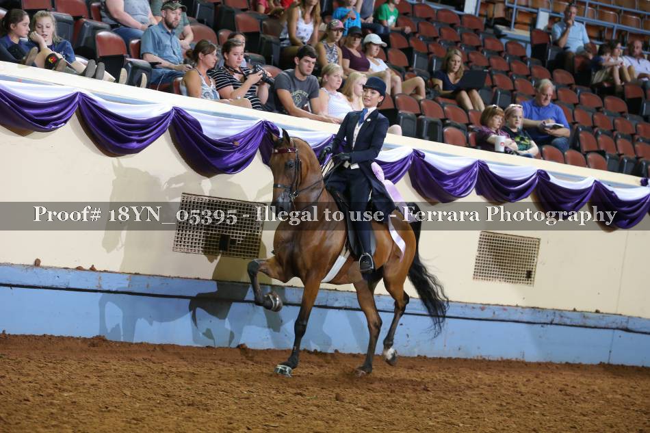 Proof 18YN_05395