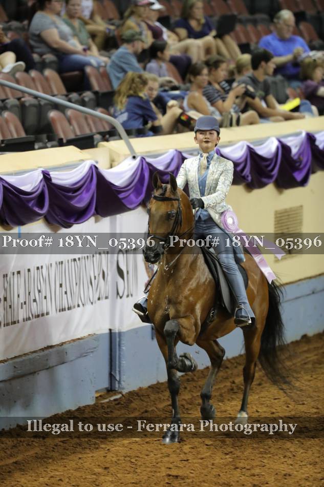 Proof 18YN_05396