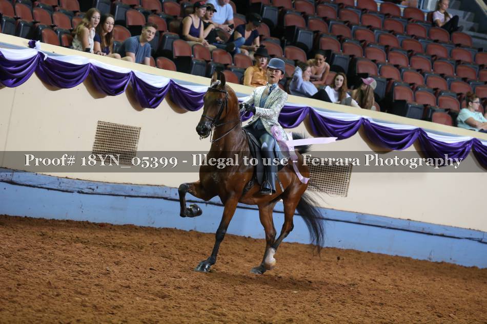 Proof 18YN_05399