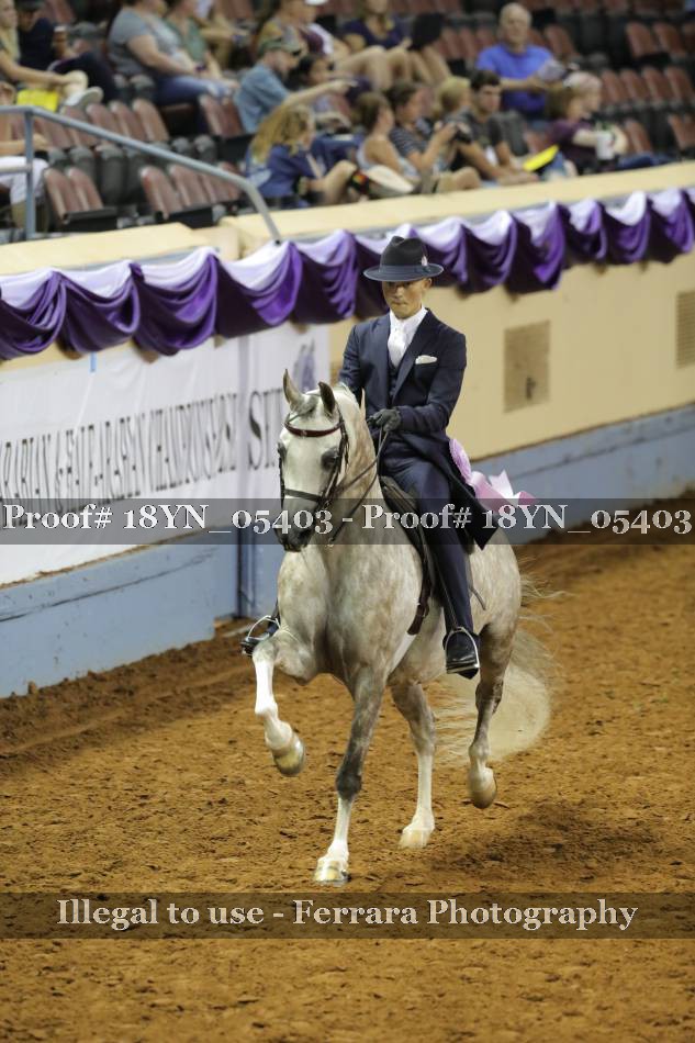 Proof 18YN_05403