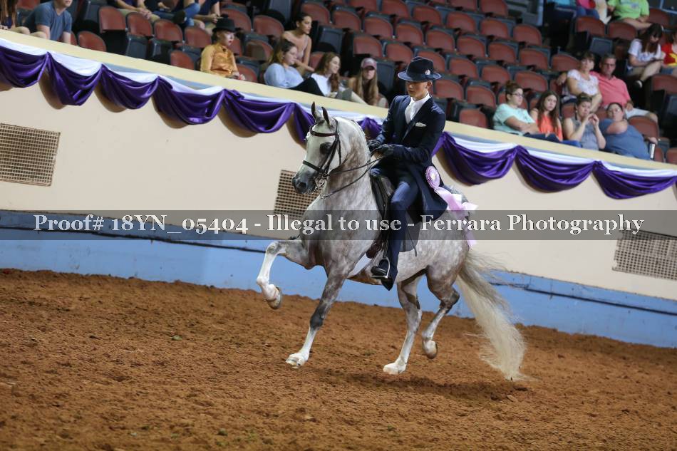 Proof 18YN_05404