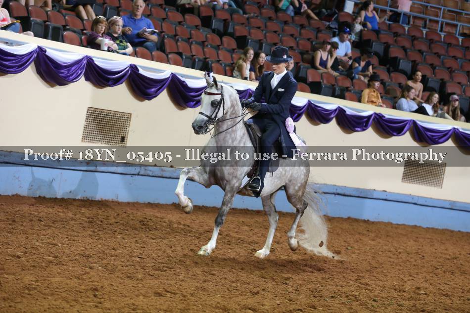 Proof 18YN_05405