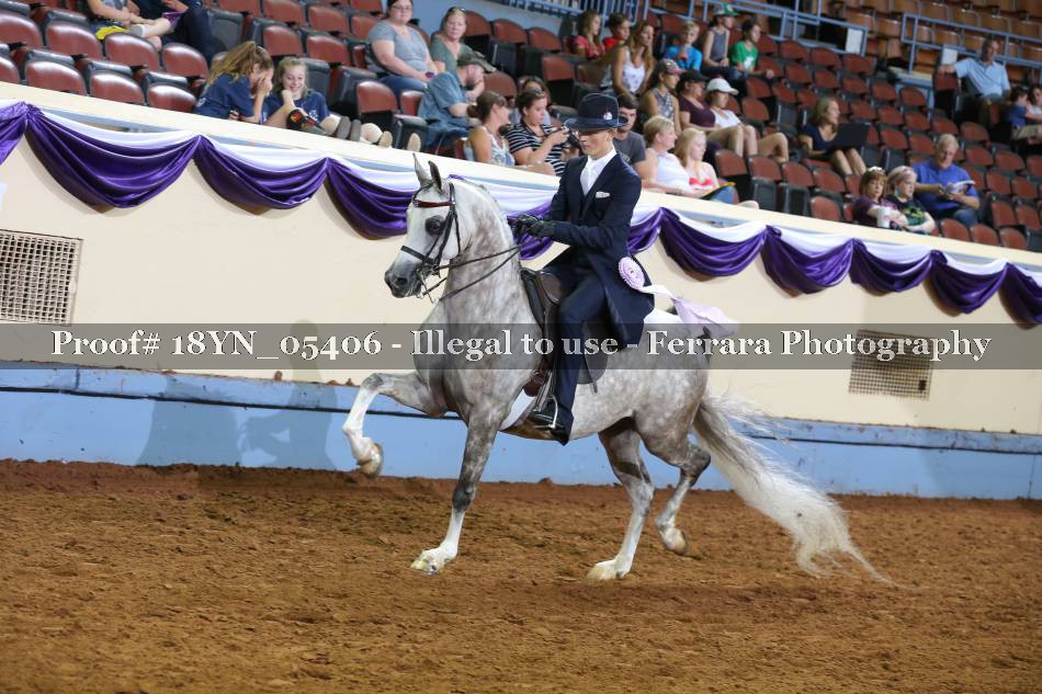 Proof 18YN_05406