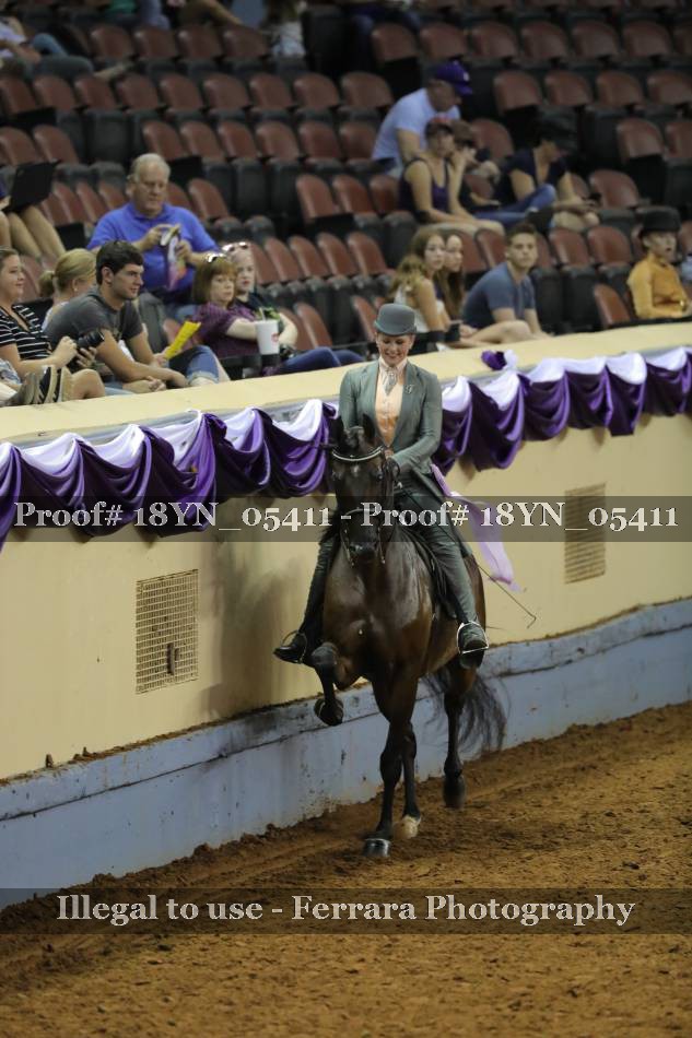 Proof 18YN_05411