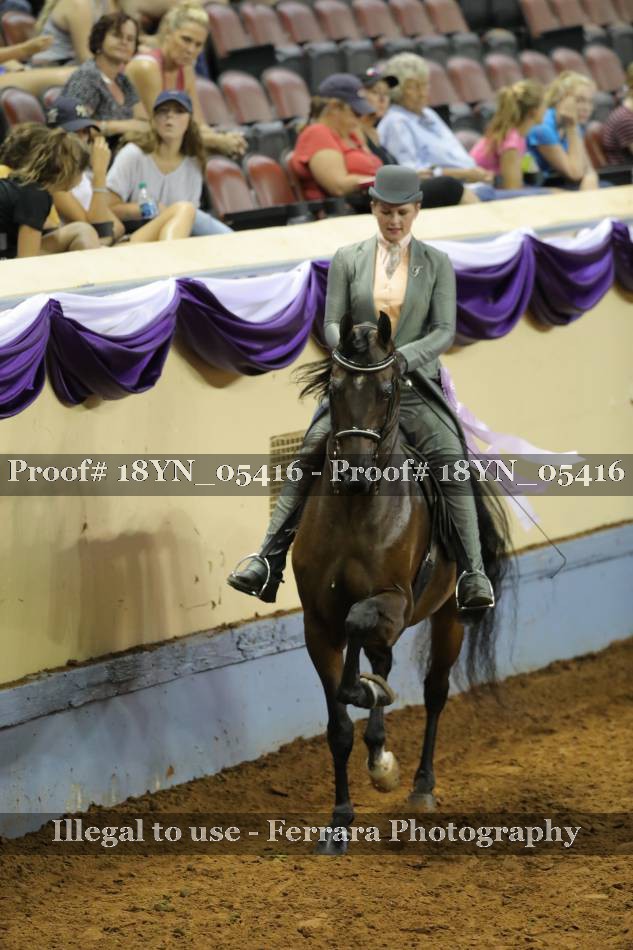 Proof 18YN_05416
