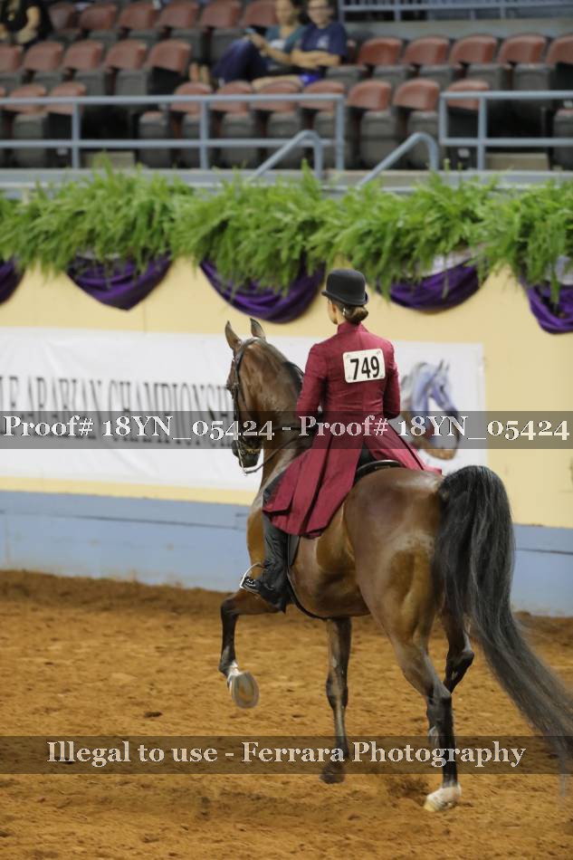 Proof 18YN_05424