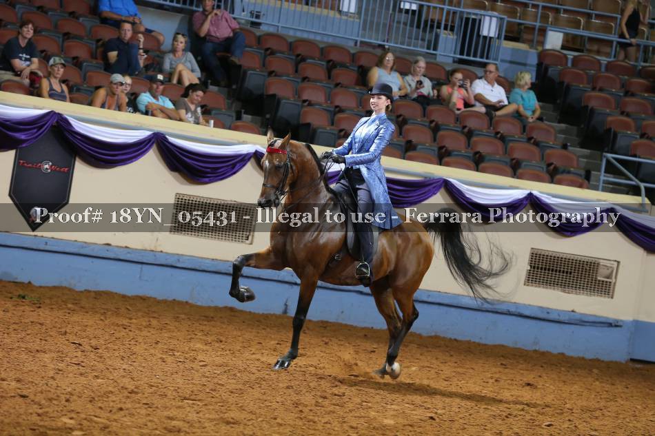 Proof 18YN_05431