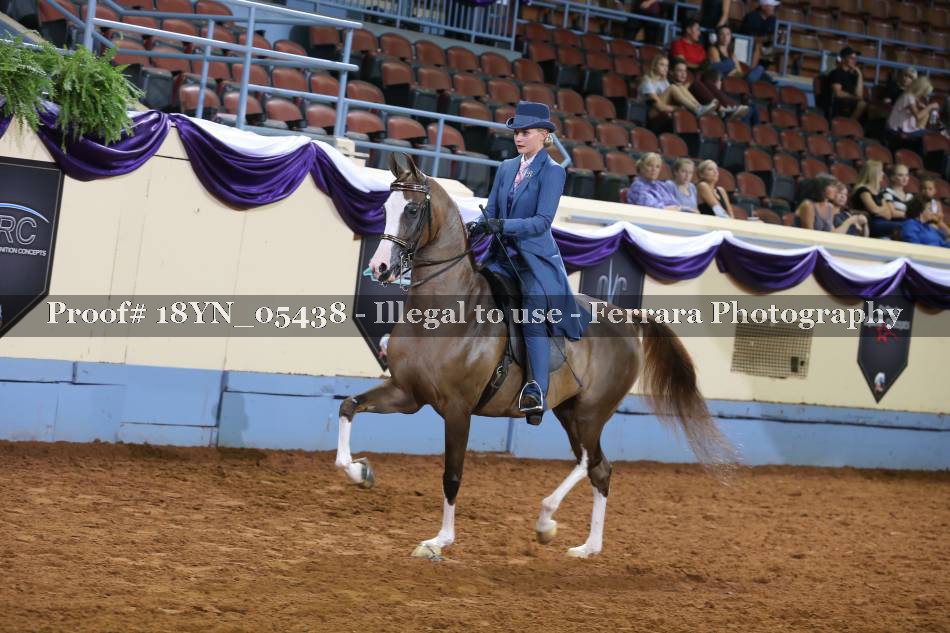 Proof 18YN_05438