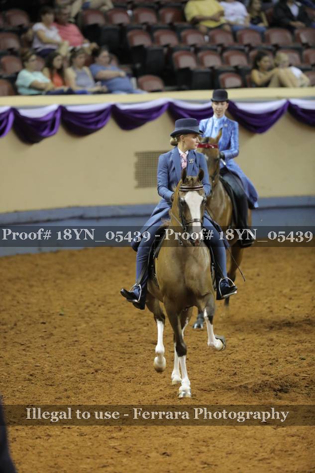 Proof 18YN_05439
