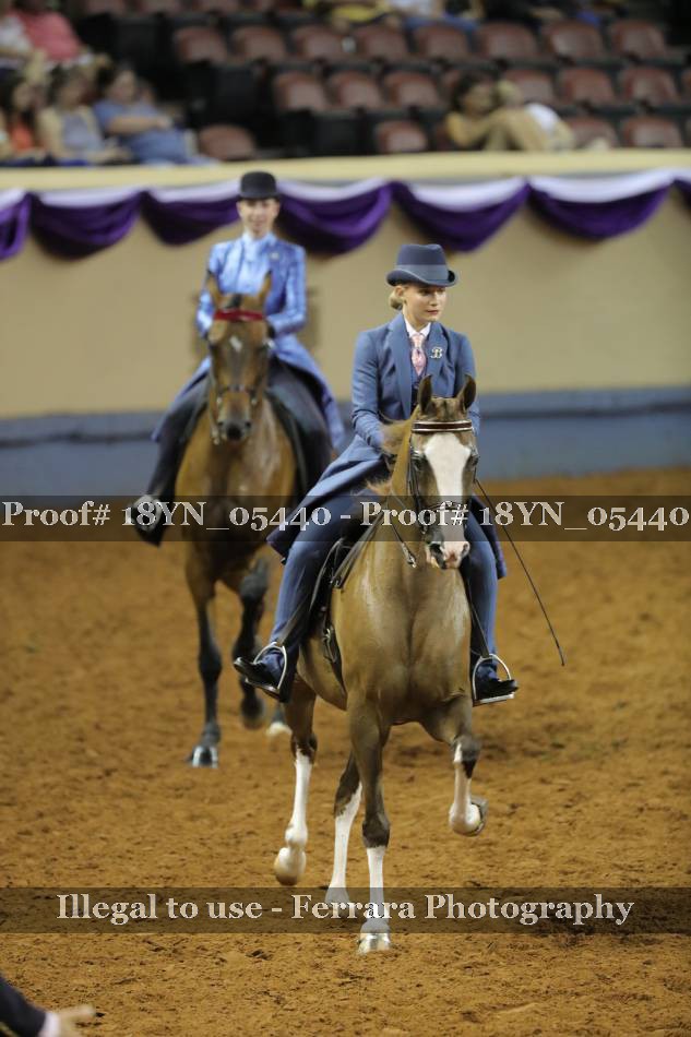 Proof 18YN_05440