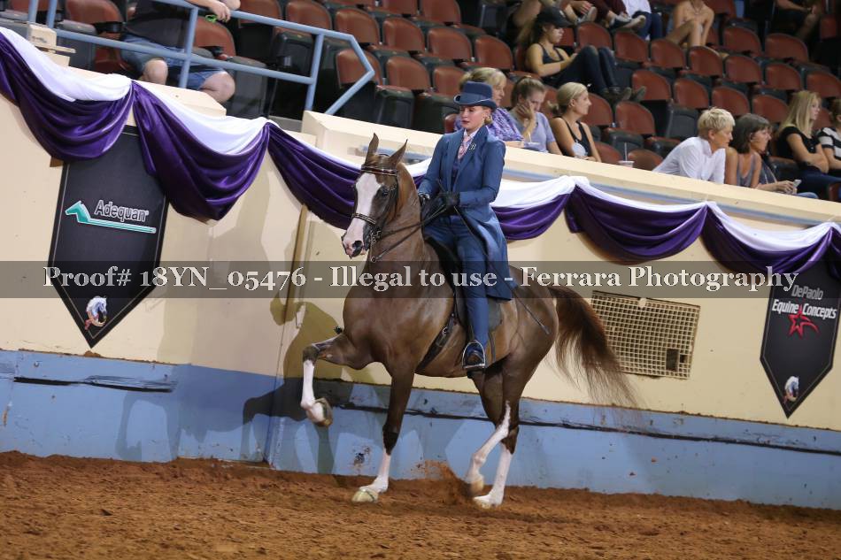 Proof 18YN_05476