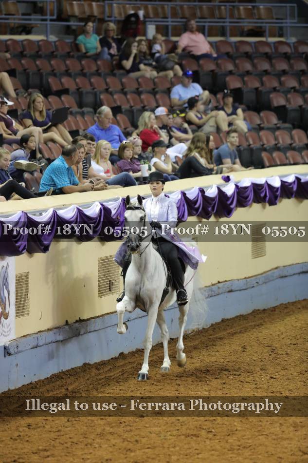 Proof 18YN_05505