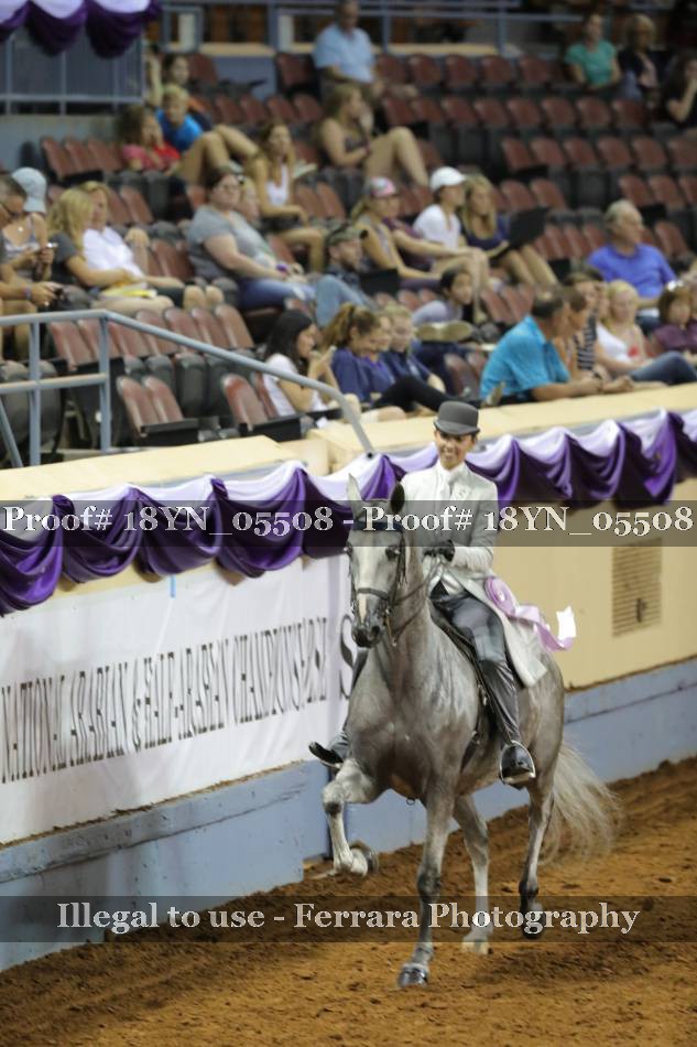 Proof 18YN_05508