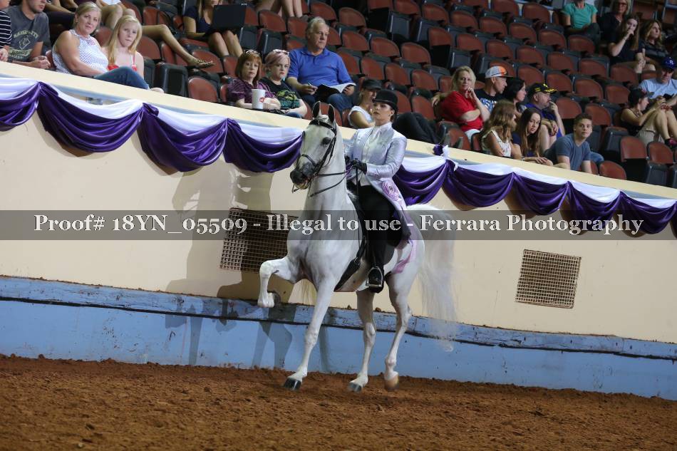 Proof 18YN_05509