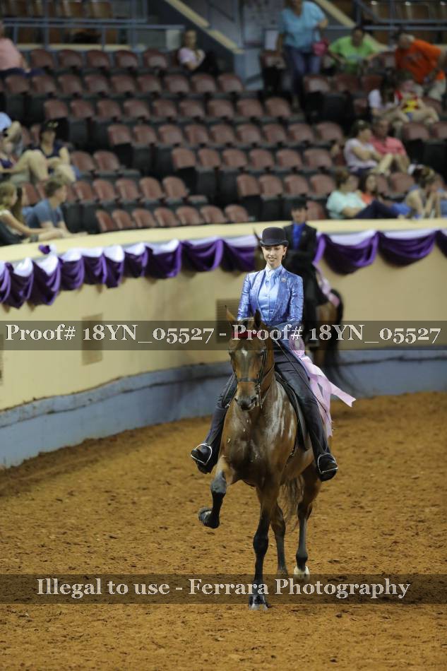 Proof 18YN_05527