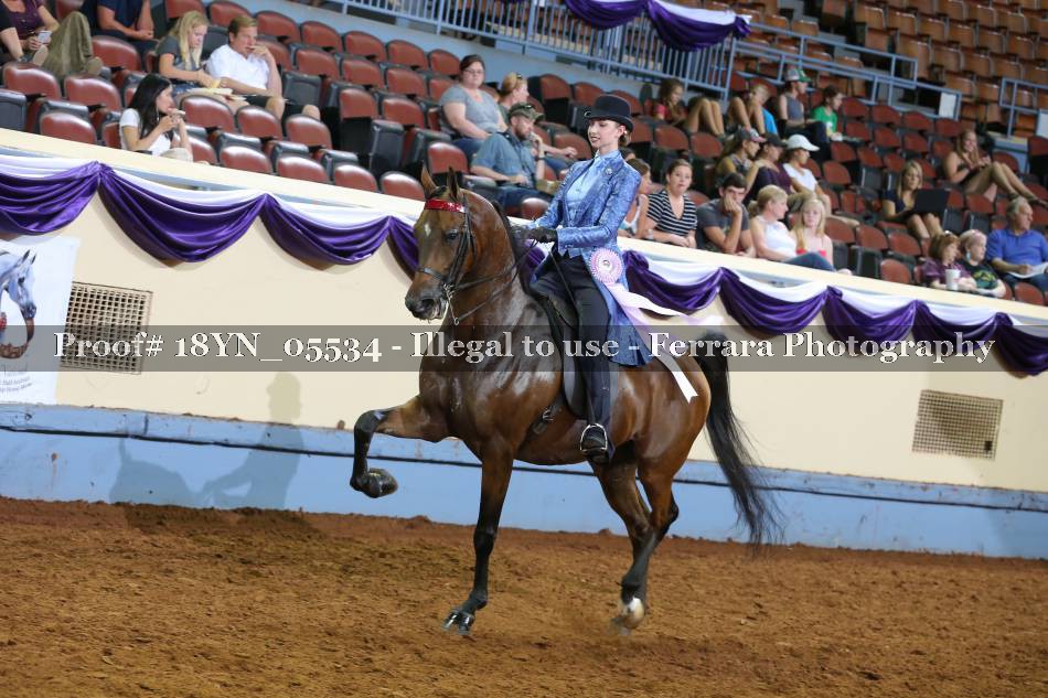 Proof 18YN_05534