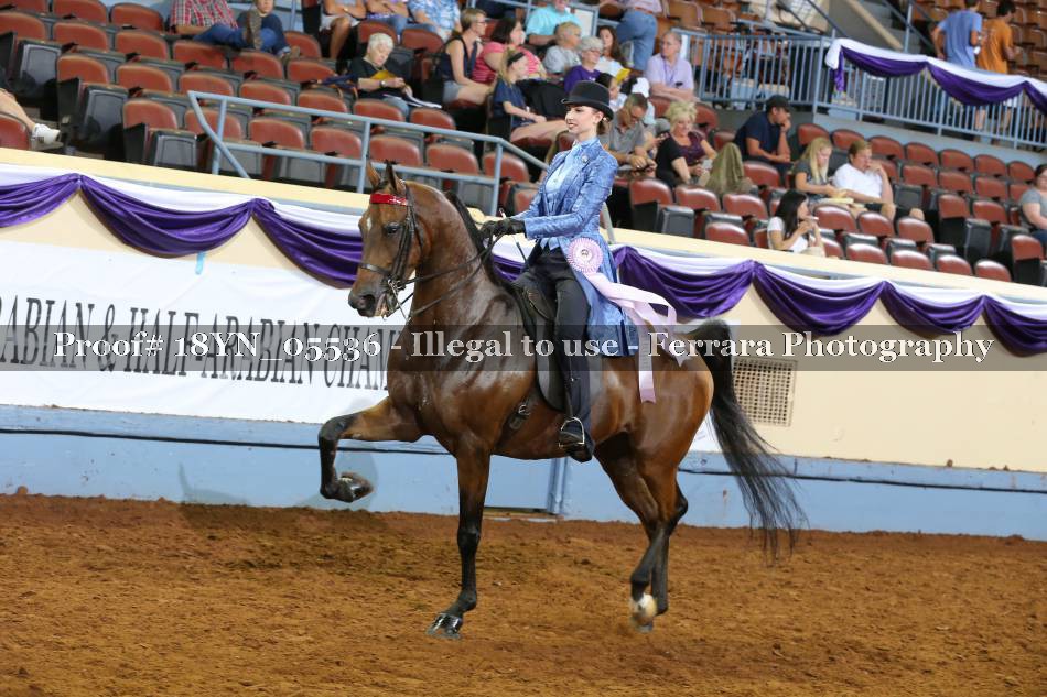 Proof 18YN_05536