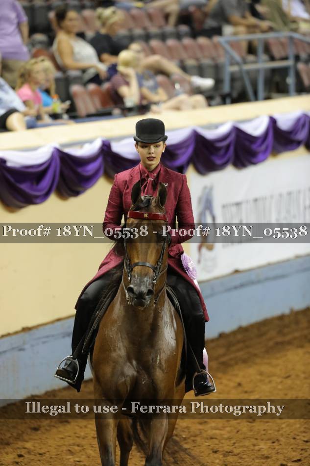 Proof 18YN_05538