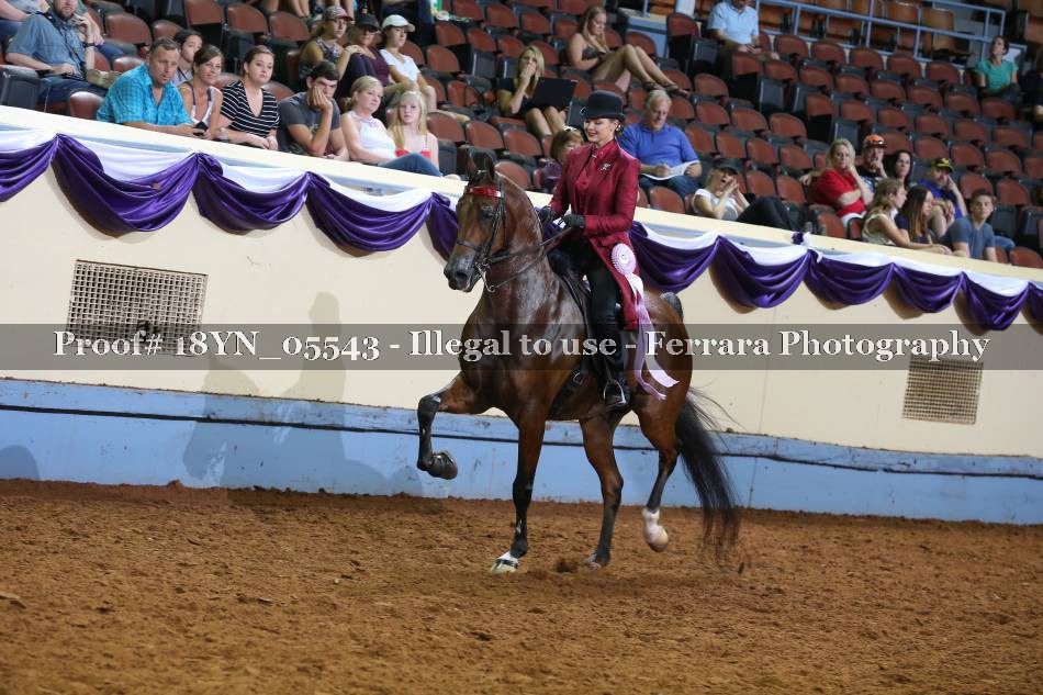 Proof 18YN_05543