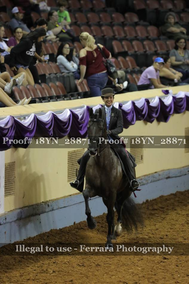 Proof 18YN_28871