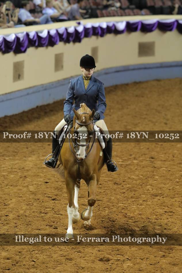 Proof 18YN_10252