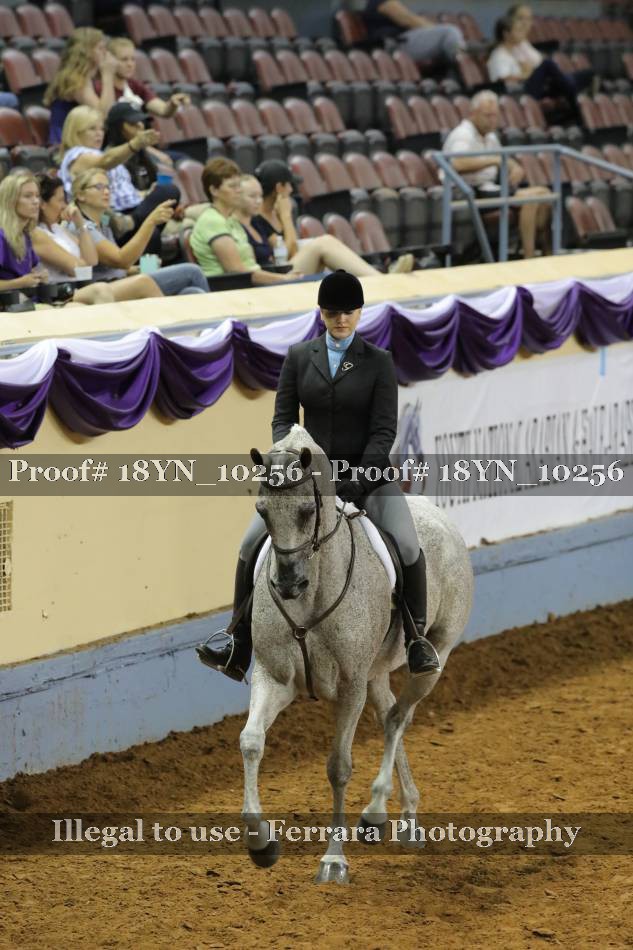 Proof 18YN_10256