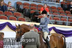 18YN_10308 proof