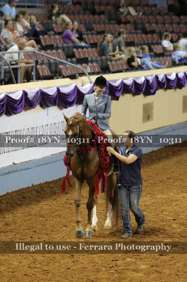 Proof 18YN_10311