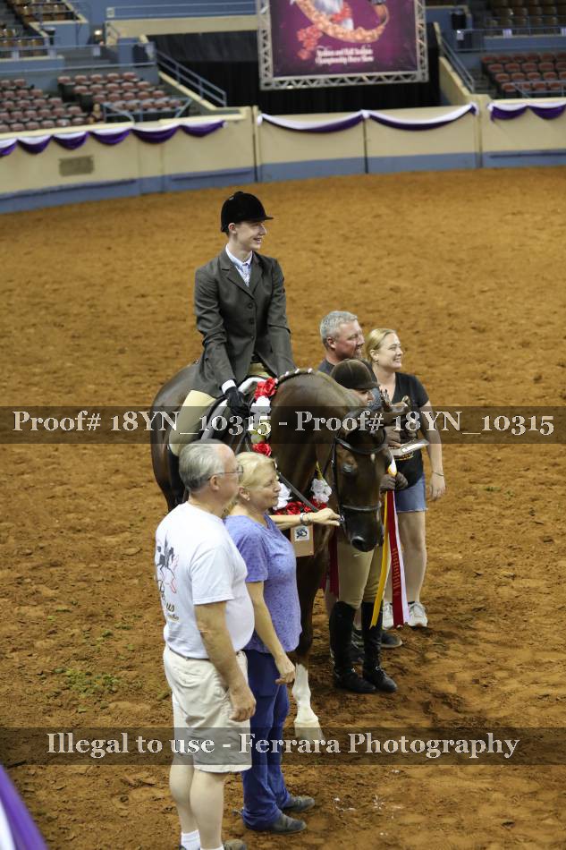 Proof 18YN_10315