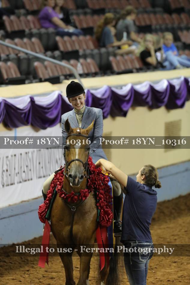 Proof 18YN_10316