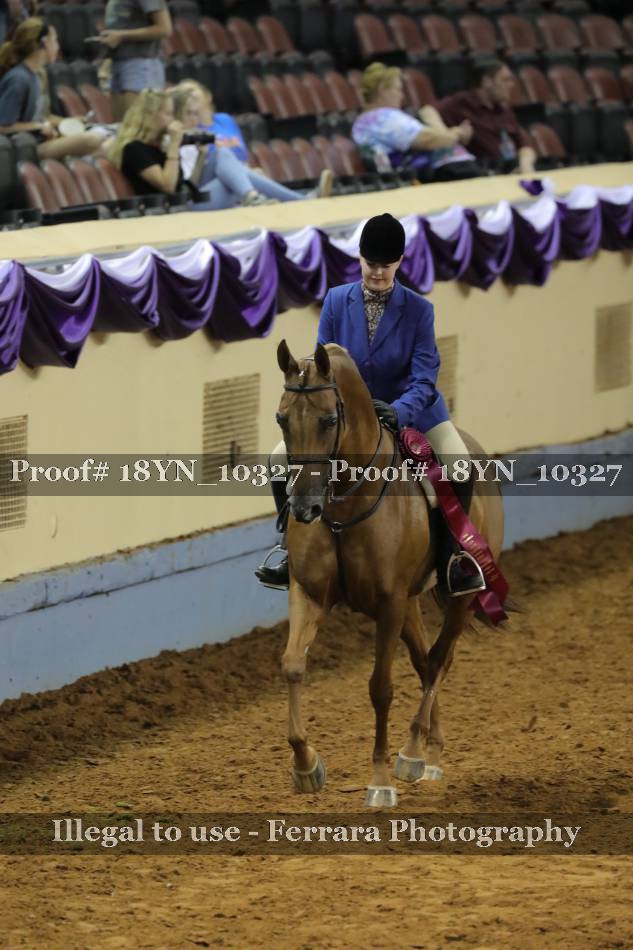 Proof 18YN_10327