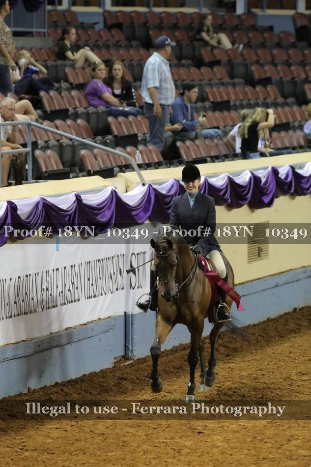Proof 18YN_10349