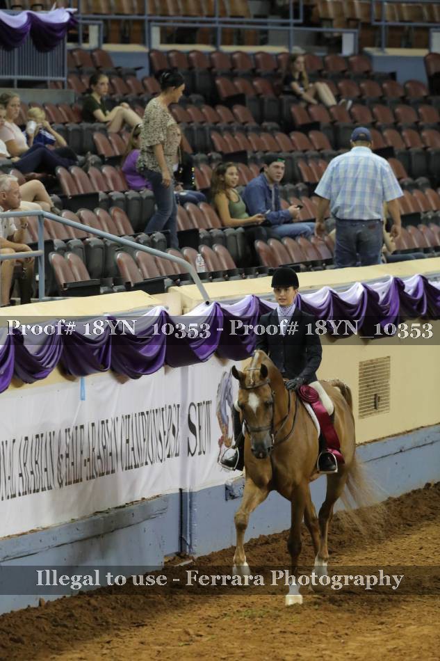 Proof 18YN_10353