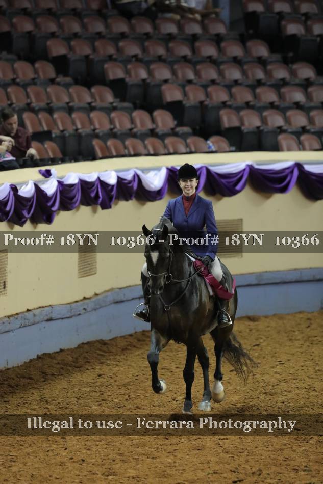 Proof 18YN_10366