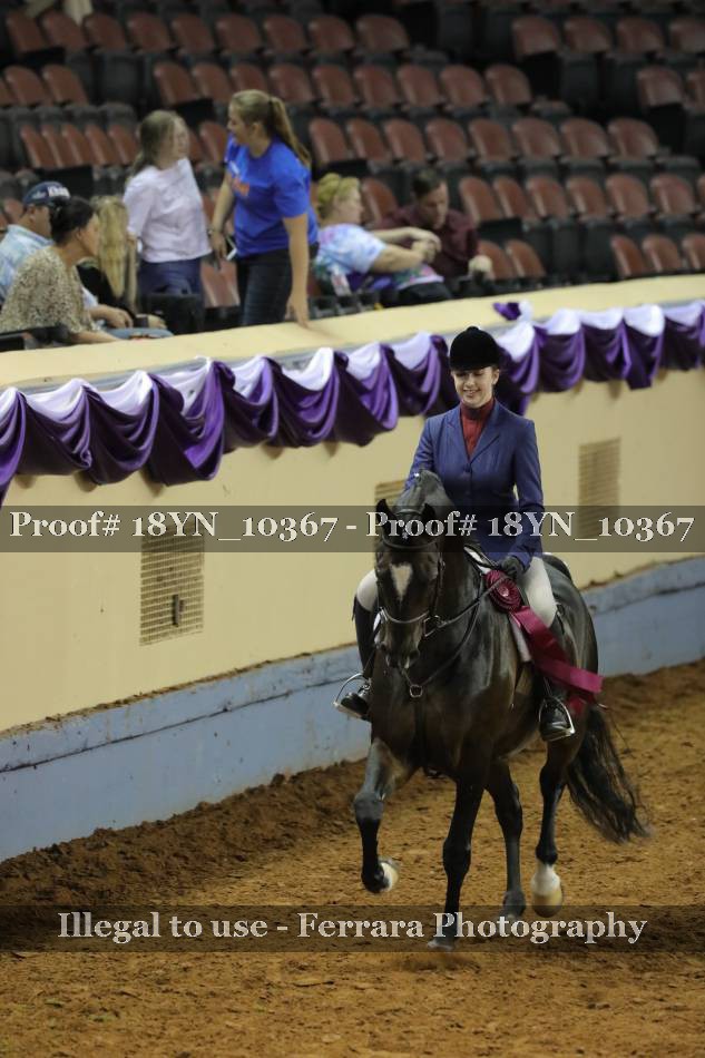 Proof 18YN_10367