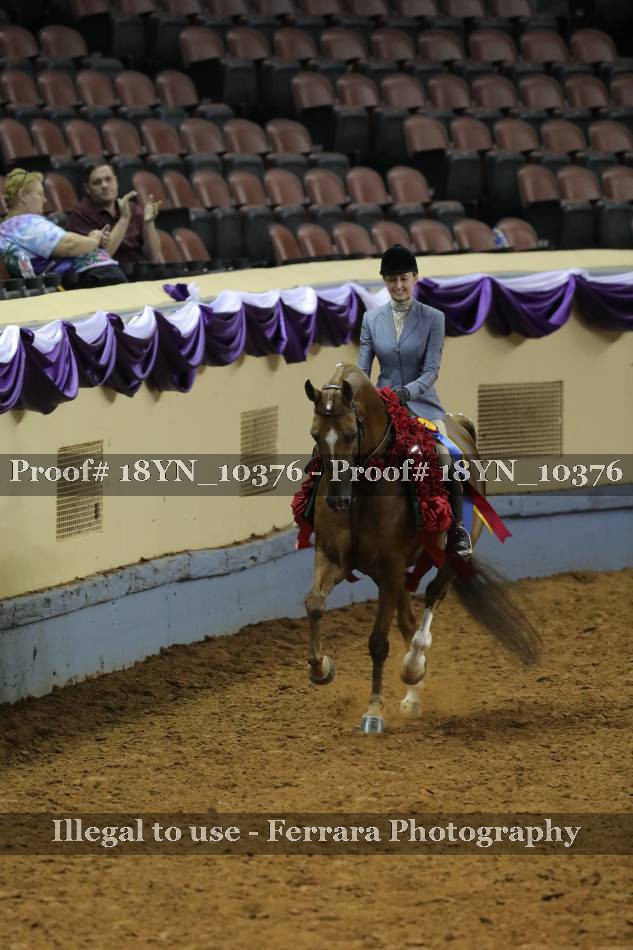 Proof 18YN_10376