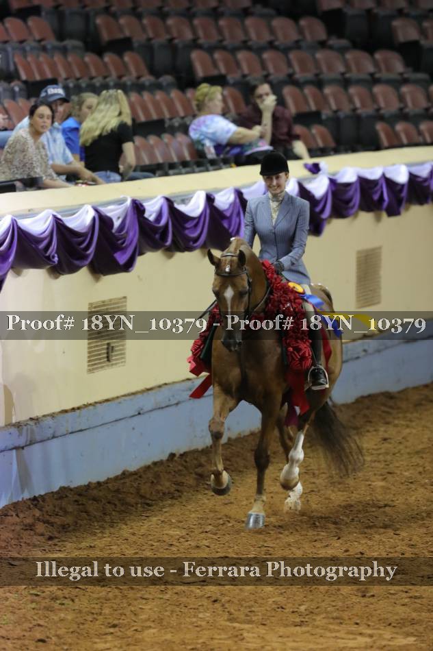 Proof 18YN_10379