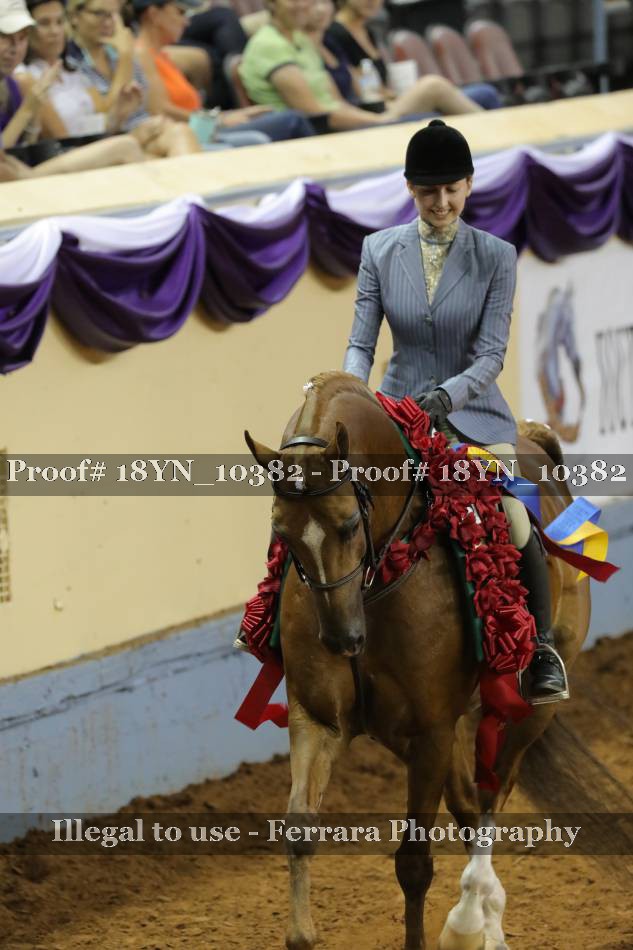 Proof 18YN_10382