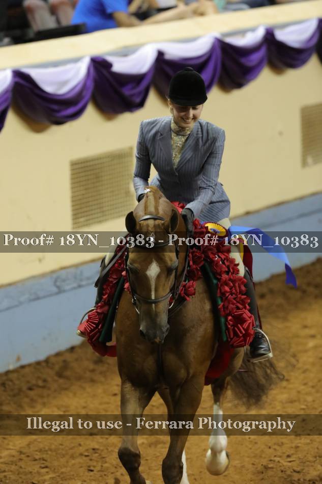 Proof 18YN_10383