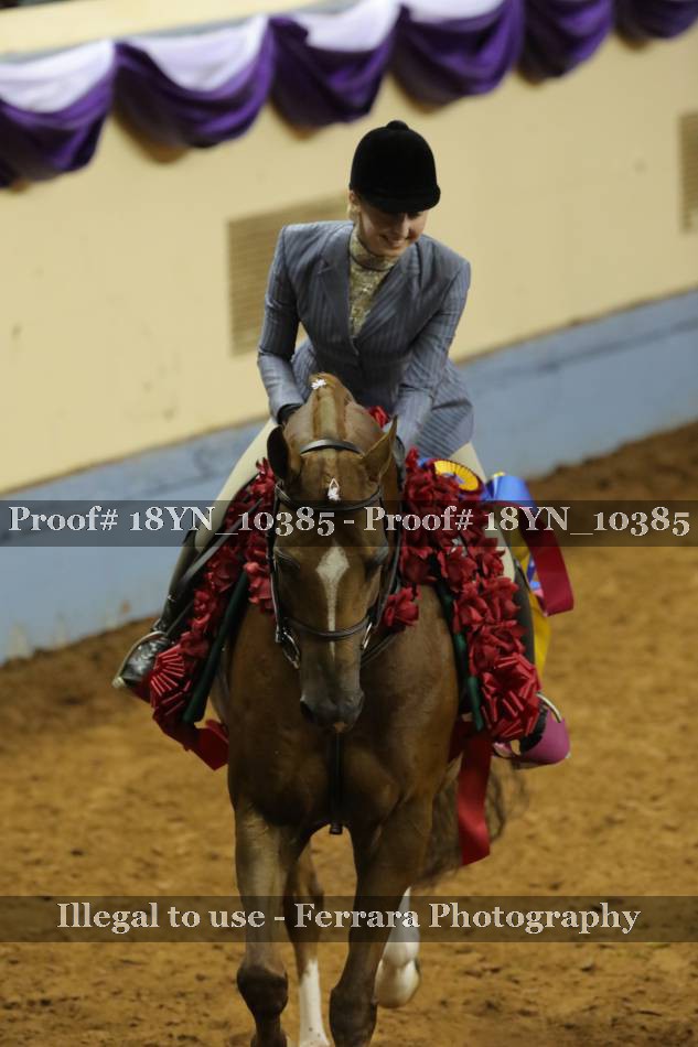 Proof 18YN_10385