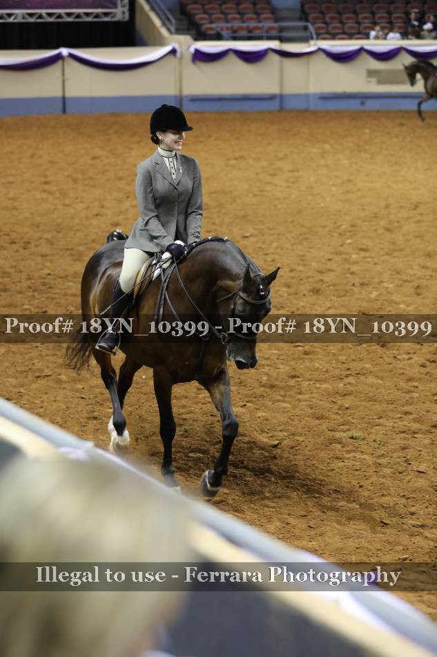 Proof 18YN_10399