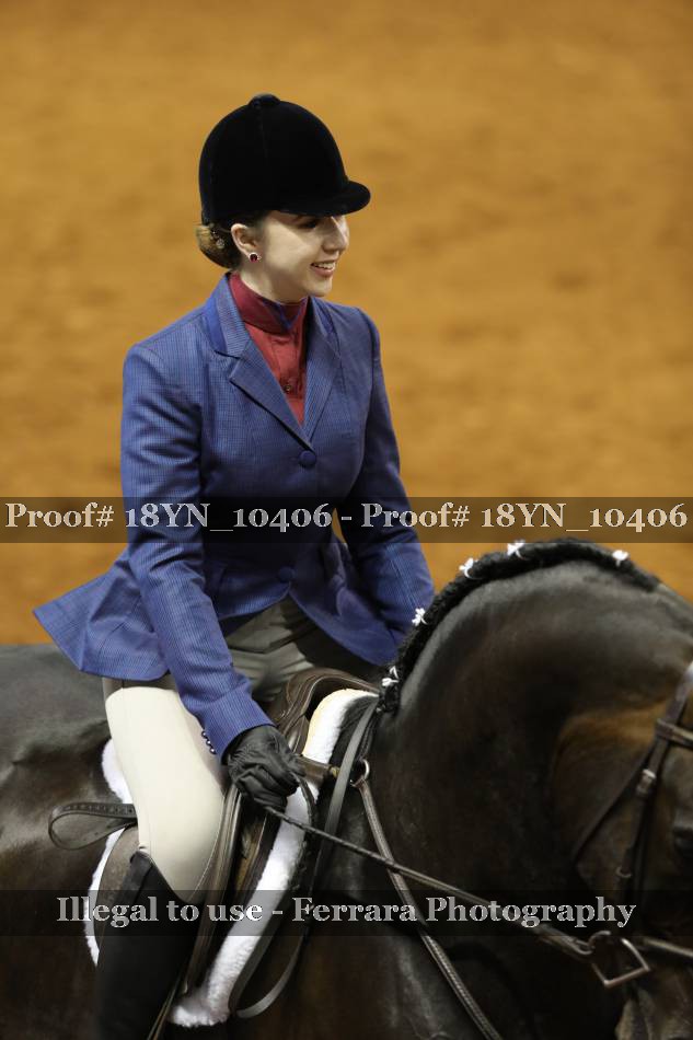 Proof 18YN_10406